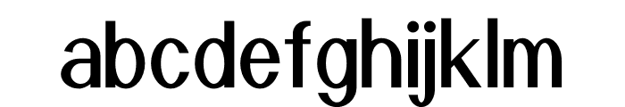 NeoAntoine Font LOWERCASE