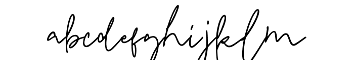 NerlandSignature-Regular Font LOWERCASE