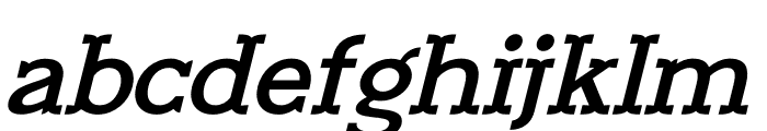 New Marion Italic Font LOWERCASE