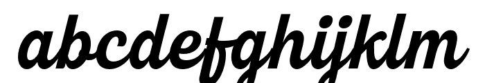 NewRoshelynScript-ExtraLight Font LOWERCASE