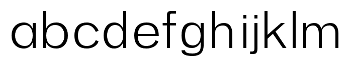 Newist regular Font LOWERCASE