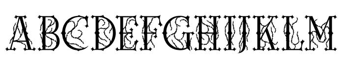 Noctune Font LOWERCASE