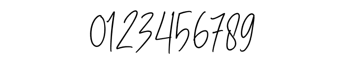 Northaven Signature Font OTHER CHARS
