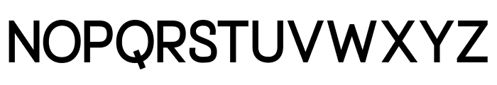 Northline Bold Font LOWERCASE