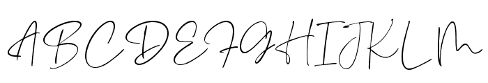Novita Signora Signature Font UPPERCASE
