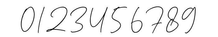 NovitaSignora-Signature Font OTHER CHARS