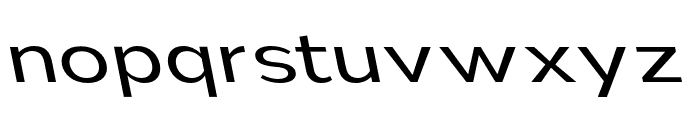 Nsai Pro Expanded Book Slanted Font LOWERCASE