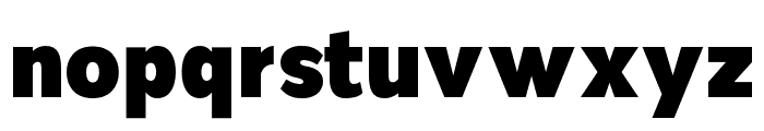 Nsai Pro Narrow Black Font LOWERCASE