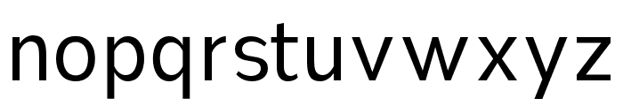 Nsai Pro Narrow Book Font LOWERCASE