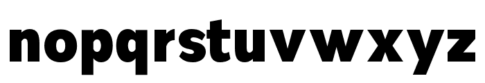 Nsai Pro Narrow Heavy Font LOWERCASE