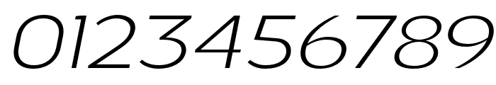 Nsai Pro Wide ExtLt Ita Font OTHER CHARS