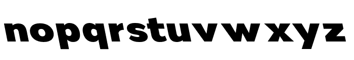 Nsai Pro Wide Heavy Slanted Font LOWERCASE