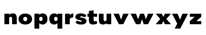 Nsai Pro Wide Heavy Font LOWERCASE