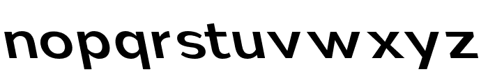 Nsai Pro Wide Medium Slanted Font LOWERCASE