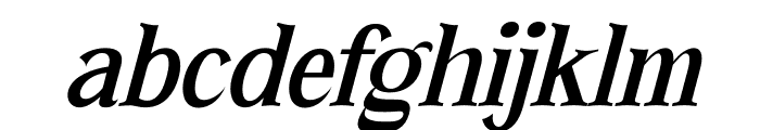 ORTUSELA Italic Font LOWERCASE