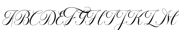OctagonCalligraphy Font UPPERCASE