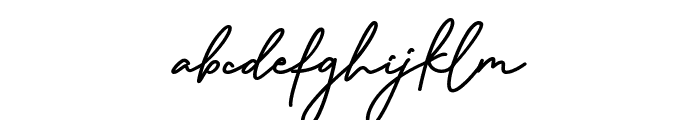 Octavian Signature Font LOWERCASE
