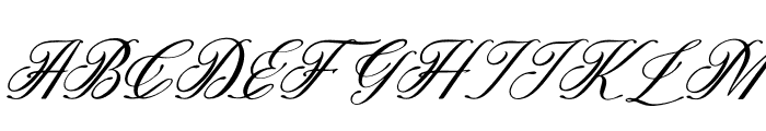 Olydemi Italic Font UPPERCASE