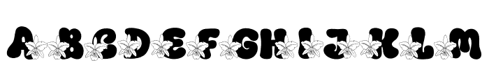 Orchid Doodle Font UPPERCASE