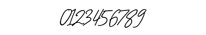 OrlandoSignature Font OTHER CHARS