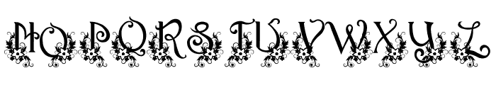 Ornament Monogram Font LOWERCASE