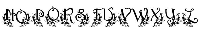 OrnamentMonogram Font LOWERCASE
