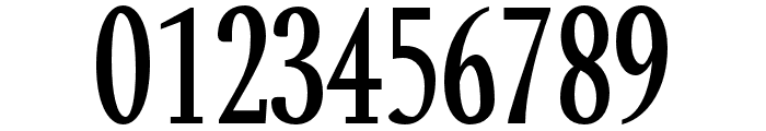 Orrick-Regular Font OTHER CHARS