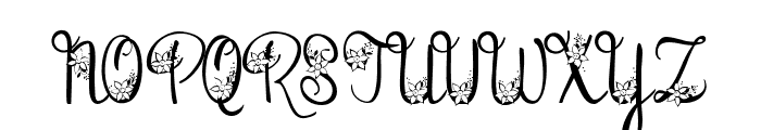 PN Bunchberry Merry Font UPPERCASE