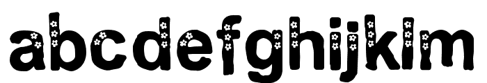 PN Elusive Spring Font LOWERCASE