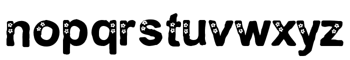 PN Elusive Spring Font LOWERCASE