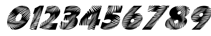 Palm Leaf Italic Font OTHER CHARS