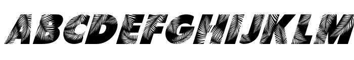 Palm Leaf Italic Font LOWERCASE