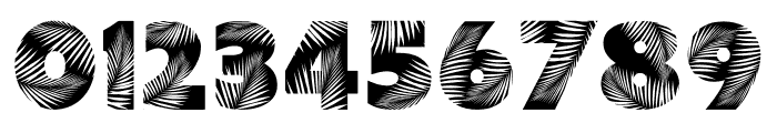 Palm Leaf Regular Font OTHER CHARS