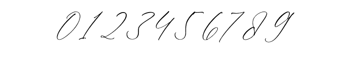 Palmer Corella Italic Font OTHER CHARS