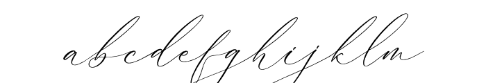 Palmer Corella Italic Font LOWERCASE