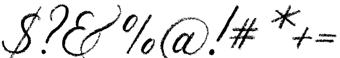 Palomino Script Regular Font OTHER CHARS