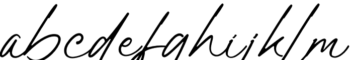 Panther Signature Font LOWERCASE