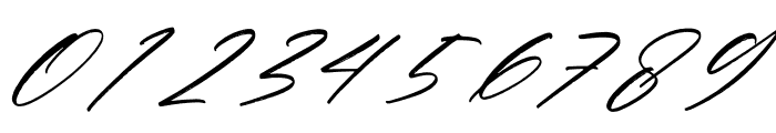 Pantherdam Signature Italic Font OTHER CHARS