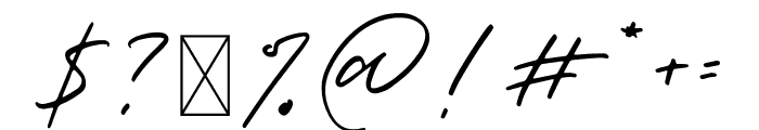 Paradise Signature Font OTHER CHARS