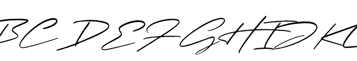 Paradise Signature Font UPPERCASE