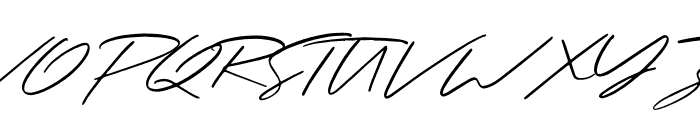 Paradise Signature Font UPPERCASE