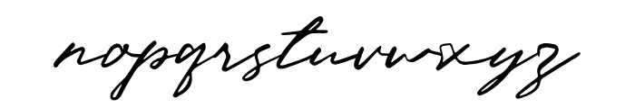 Paradise Signature Font LOWERCASE