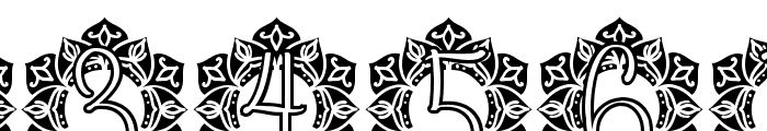 Passion Mandala Monogram Font OTHER CHARS