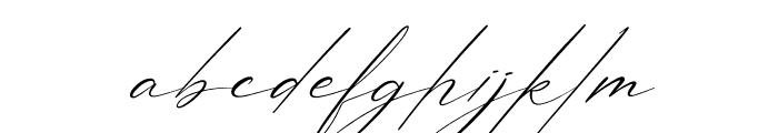 Patricia Signature Italic Font LOWERCASE