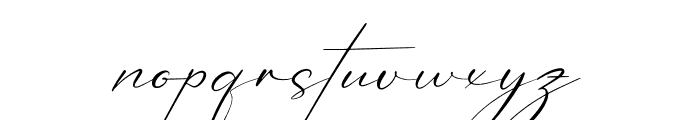 Patricia Signature Font LOWERCASE