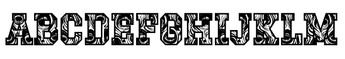 Peacock Font UPPERCASE
