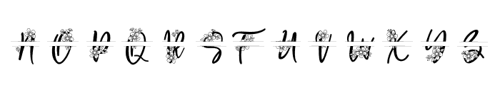 Pearly Monogram Split Font UPPERCASE