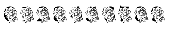 Peony MNGRM Font OTHER CHARS