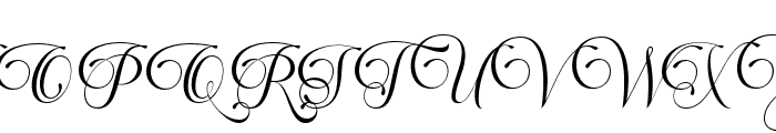 PerfectlyNotedCalligraphy Font UPPERCASE