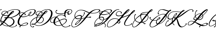 Perfecto Calligraphy Bold Italic Font UPPERCASE